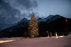 26C Tree With Lights After Sunset At Lake Louise.jpg